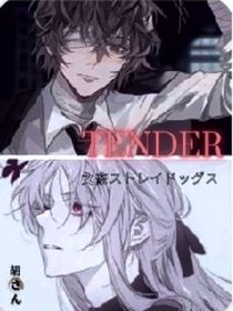 文野tender