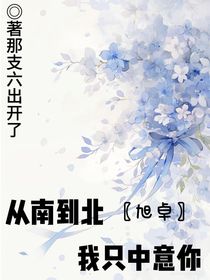 旭卓—从南到北，我只中意你