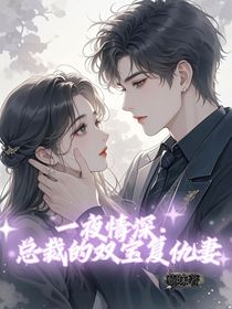 一夜情深：总裁的双宝复仇妻