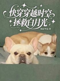 快穿穿越时空拯救白月光