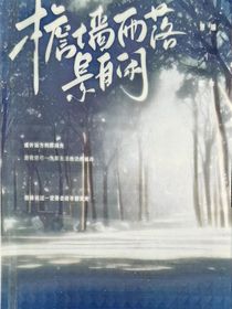 檐墙雨落景自闲