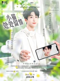黄子弘凡：小猫处处留情