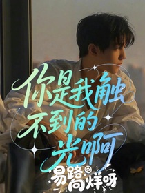 你是我触不可及的光啊