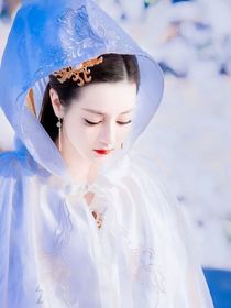 凤九历劫观影
