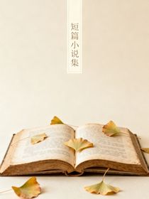 短篇小说集（大概就是一章一个小说吧）