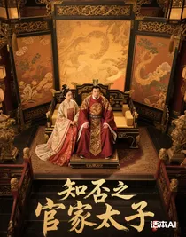 知否之官家七子