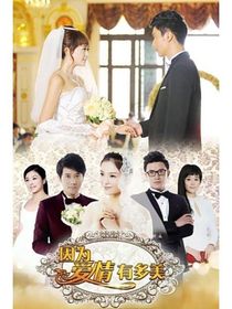 因为爱情有多美又晴天