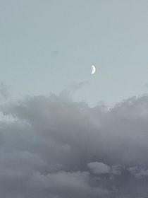 恒星月明