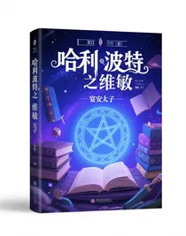 哈利波特之维敏