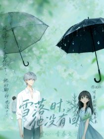 雪落时，他没有回头