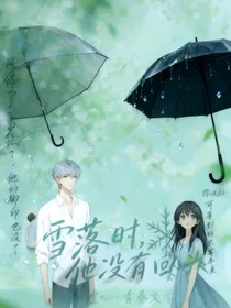 雪落时，他没有回头