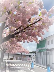 四季之时（奇文）