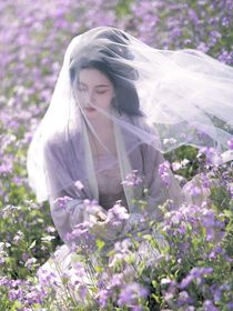 又见一轮明月心