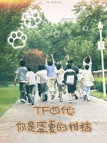 TF四代：你是盛夏的柑桔