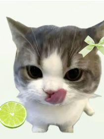 相声（乱写版）