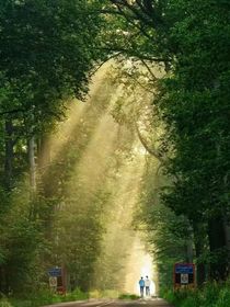 只因遇见了你们