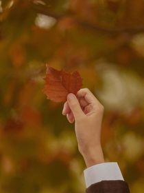 跨洋过海来爱你