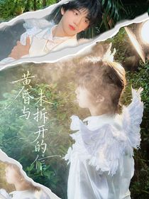 黄昏与未拆开的信