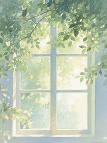 若年盛夏（别名：他藏了夏天）