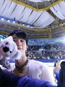 羽生结弦：释怀已遇蓝桉树