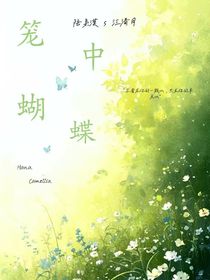 笼中蝴蝶
