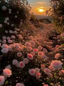 四季使者：放个小假打个电竞