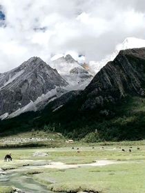 全明星：一枕槐安