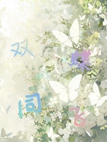 绝世：双碟同飞