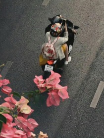 你不知道的事，总有人替你发现