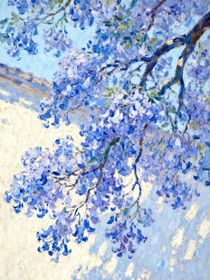 风起京华一诺定情长