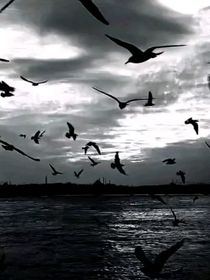 特种兵学校之反目成仇