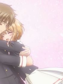 樱狼同人之为了平静生活的努力