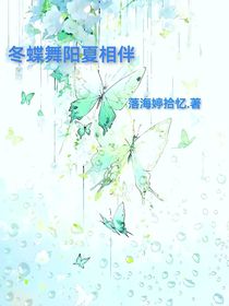 冬蝶舞阳夏相伴