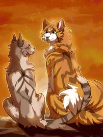 新的族群：作者谈心