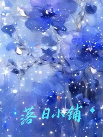 落日小铺（无偿）