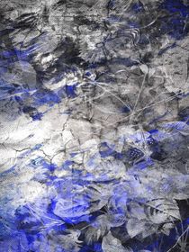 咒回：难辩真假