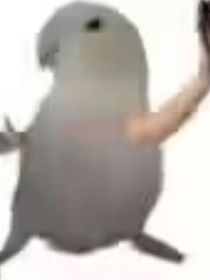 第五幼稚园：心理委员我们需要你