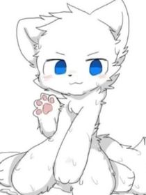 changed最后的使命lin2