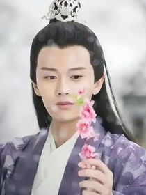 综影视之紫萱灼华七世情