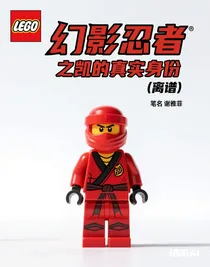 幻影忍者之凯的真实身份（离谱）