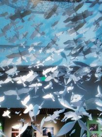 我在这里开公交