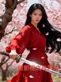 综影视之与风起