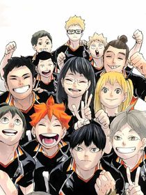 排球少年：猎鹰与乌鸦