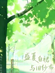 盛夏白裙与旧纱布