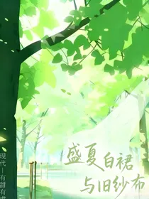 盛夏白裙与旧纱布