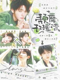 TNT女尊：颓靡玫瑰湾