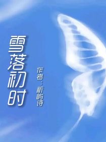 雪落初时