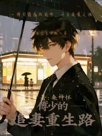 傅少的追妻重生路
