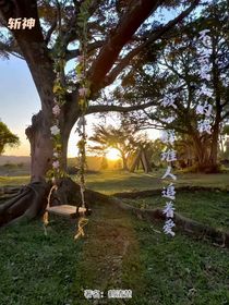 斩神：不会爱人的我，被一堆人追着爱