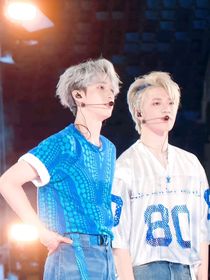 梧桐树下的见面